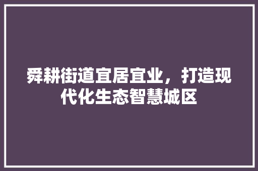 舜耕街道宜居宜业，打造现代化生态智慧城区