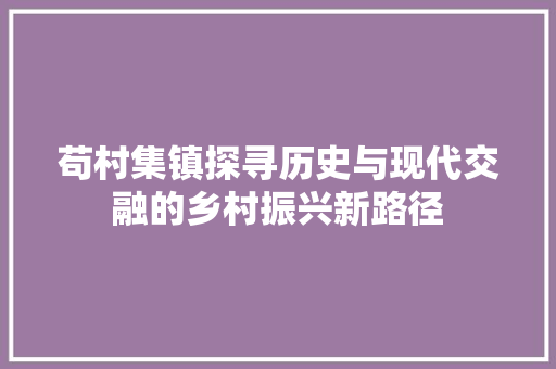 苟村集镇探寻历史与现代交融的乡村振兴新路径