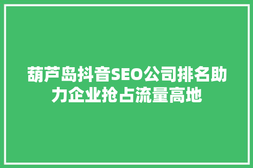 葫芦岛抖音SEO公司排名助力企业抢占流量高地