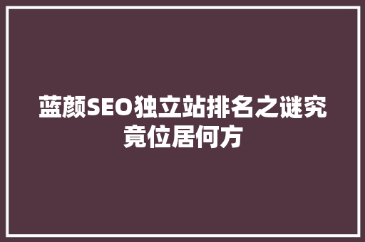 蓝颜SEO独立站排名之谜究竟位居何方