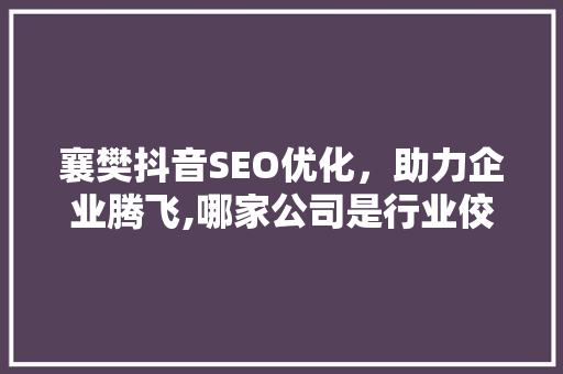 襄樊抖音SEO优化，助力企业腾飞,哪家公司是行业佼佼者
