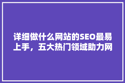 详细做什么网站的SEO最易上手，五大热门领域助力网站优化