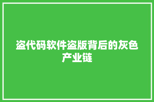 盗代码软件盗版背后的灰色产业链