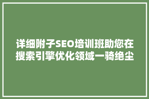 详细附子SEO培训班助您在搜索引擎优化领域一骑绝尘