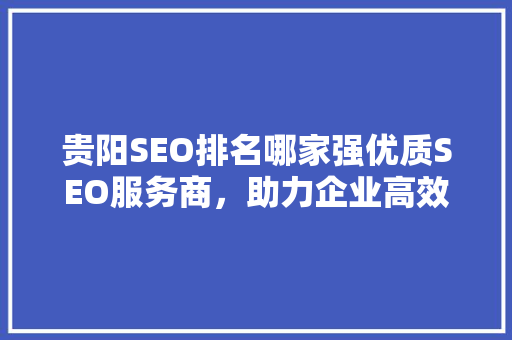 贵阳SEO排名哪家强优质SEO服务商，助力企业高效提升网络知名度