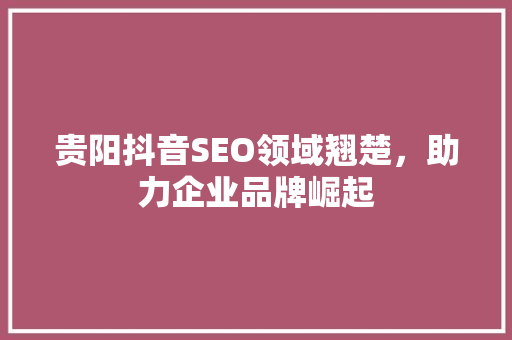 贵阳抖音SEO领域翘楚，助力企业品牌崛起