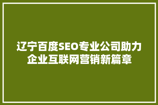 辽宁百度SEO专业公司助力企业互联网营销新篇章