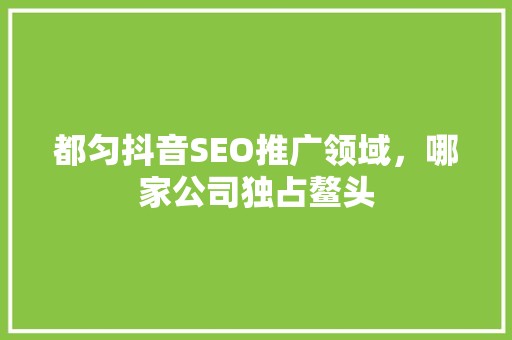 都匀抖音SEO推广领域，哪家公司独占鳌头