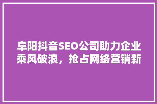 阜阳抖音SEO公司助力企业乘风破浪，抢占网络营销新高地