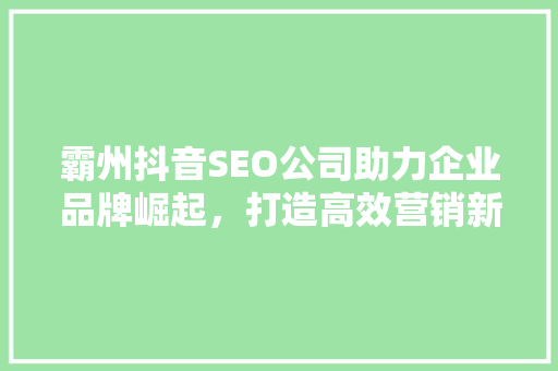 霸州抖音SEO公司助力企业品牌崛起，打造高效营销新步骤
