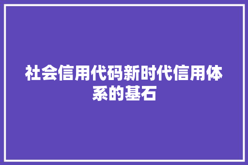 社会信用代码新时代信用体系的基石