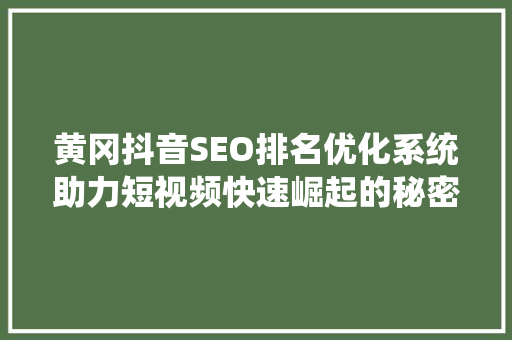 黄冈抖音SEO排名优化系统助力短视频快速崛起的秘密武器