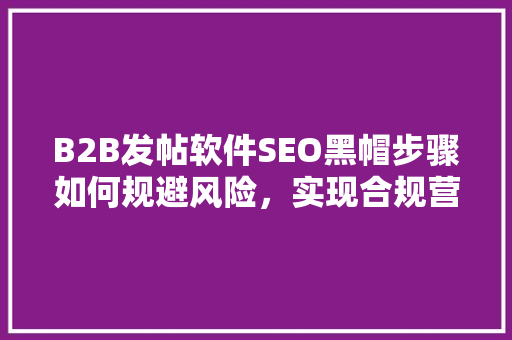 B2B发帖软件SEO黑帽步骤如何规避风险，实现合规营销