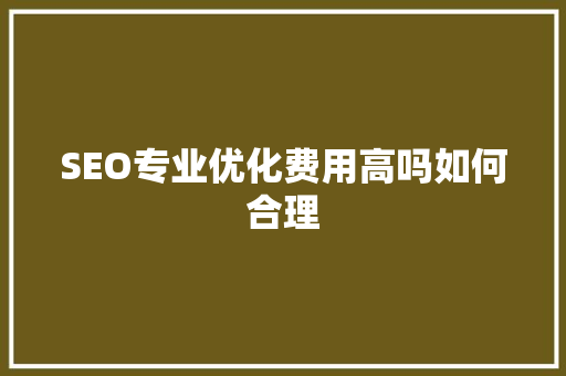 SEO专业优化费用高吗如何合理