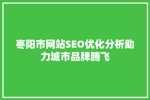 枣阳市网站SEO优化分析助力城市品牌腾飞