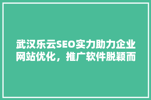 武汉乐云SEO实力助力企业网站优化，推广软件脱颖而出