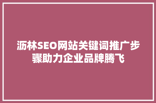 沥林SEO网站关键词推广步骤助力企业品牌腾飞