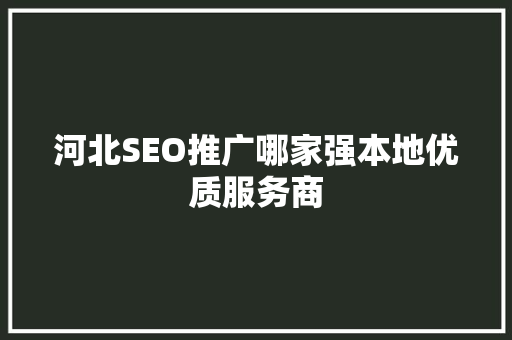 河北SEO推广哪家强本地优质服务商