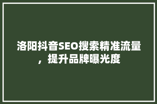 洛阳抖音SEO搜索精准流量，提升品牌曝光度