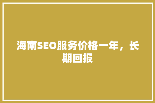 海南SEO服务价格一年，长期回报