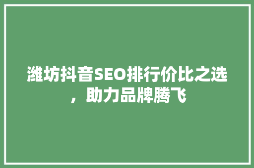 潍坊抖音SEO排行价比之选，助力品牌腾飞
