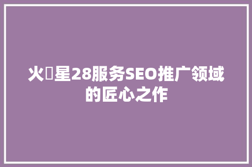 火乚星28服务SEO推广领域的匠心之作