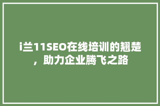 i兰11SEO在线培训的翘楚，助力企业腾飞之路