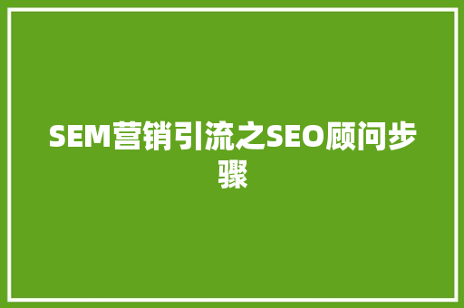 SEM营销引流之SEO顾问步骤