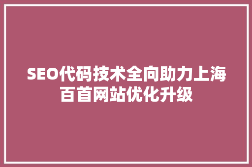 SEO代码技术全向助力上海百首网站优化升级