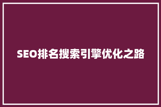 SEO排名搜索引擎优化之路