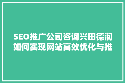 SEO推广公司咨询兴田德润如何实现网站高效优化与推广