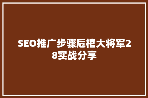 SEO推广步骤卮棺大将军28实战分享