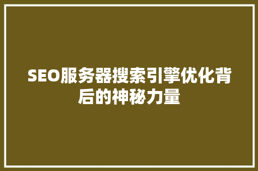SEO服务器搜索引擎优化背后的神秘力量