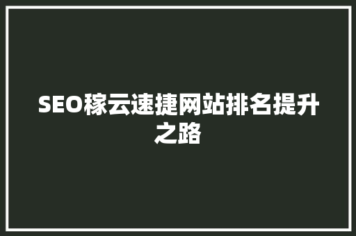 SEO稼云速捷网站排名提升之路