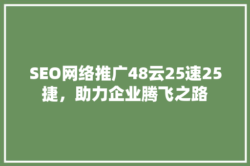 SEO网络推广48云25速25捷，助力企业腾飞之路