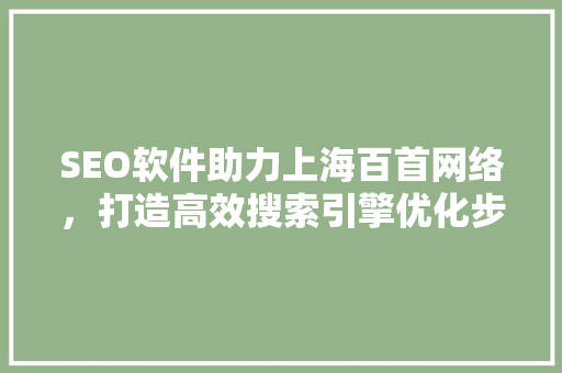 SEO软件助力上海百首网络，打造高效搜索引擎优化步骤