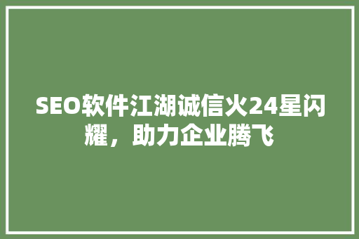 SEO软件江湖诚信火24星闪耀，助力企业腾飞