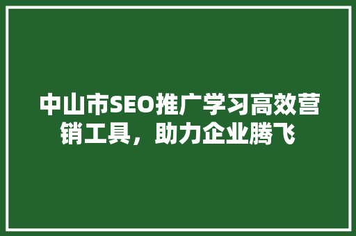 中山市SEO推广学习高效营销工具，助力企业腾飞