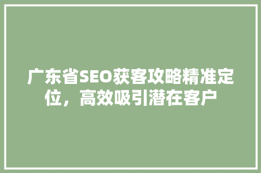 广东省SEO获客攻略精准定位，高效吸引潜在客户