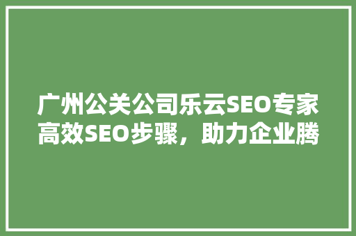 广州公关公司乐云SEO专家高效SEO步骤，助力企业腾飞