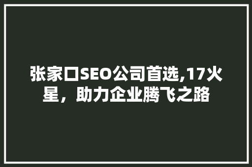 张家口SEO公司首选,17火星，助力企业腾飞之路