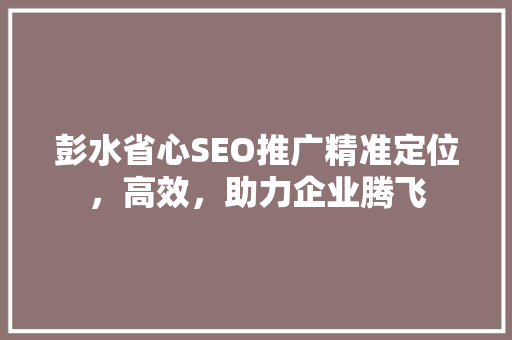 彭水省心SEO推广精准定位，高效，助力企业腾飞