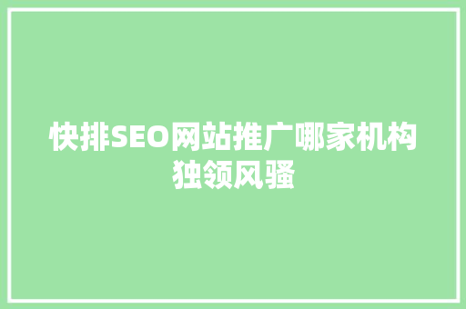 快排SEO网站推广哪家机构独领风骚