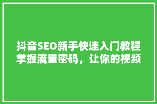 抖音SEO新手快速入门教程掌握流量密码，让你的视频火遍全网