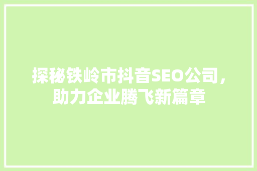 探秘铁岭市抖音SEO公司，助力企业腾飞新篇章