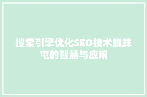 搜索引擎优化SEO技术蜘蛛屯的智慧与应用