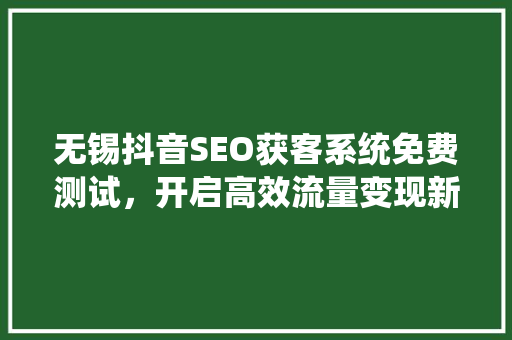 无锡抖音SEO获客系统免费测试，开启高效流量变现新篇章