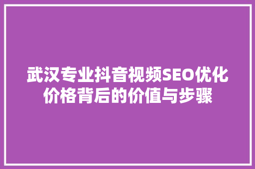 武汉专业抖音视频SEO优化价格背后的价值与步骤