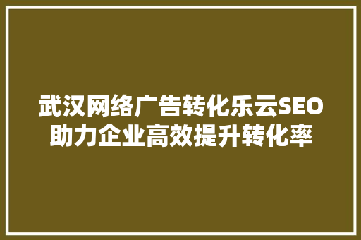 武汉网络广告转化乐云SEO助力企业高效提升转化率