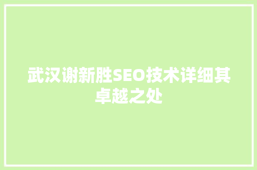 武汉谢新胜SEO技术详细其卓越之处